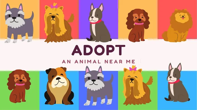 Capa de Adopt an Animal Near Me