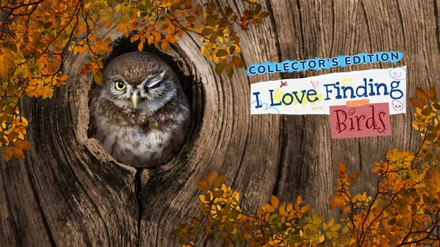 Capa de I Love Finding Birds Collector's Edition
