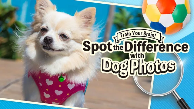Capa de Train Your Brain! Spot the Difference with Dog Photos