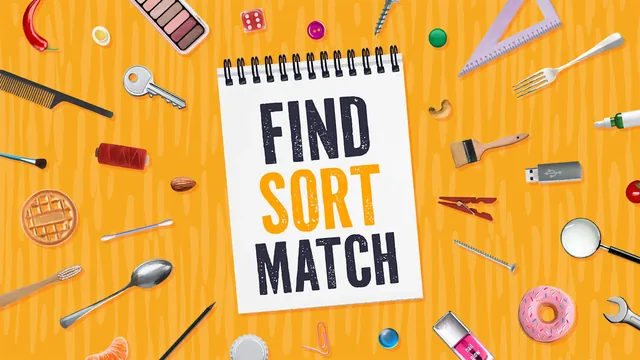 Capa de Find Sort Match