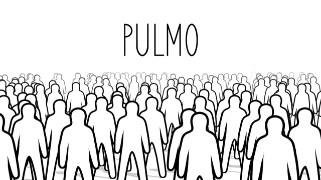 Capa de PULMO