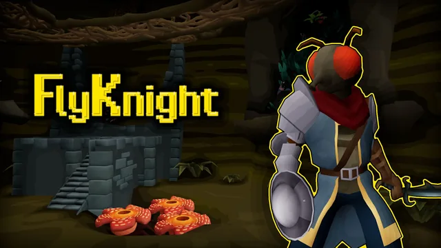 Capa de FlyKnight