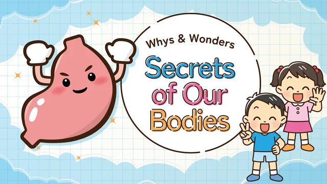 Capa de Whys & Wonders Secrets of Our Bodies