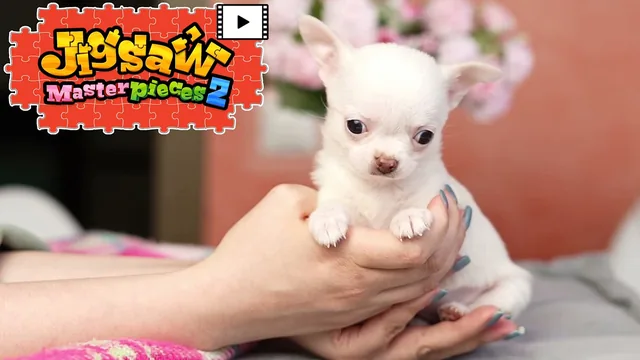Capa de [Moving] Fluffy Puppies