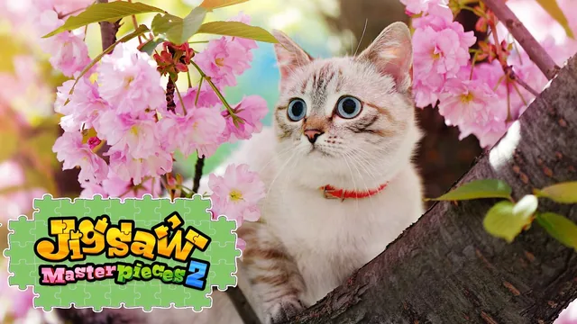 Capa de Cats with Flowers