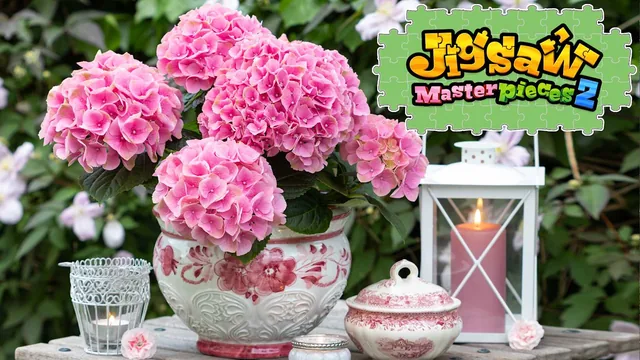 Capa de Moments of Floral Delight