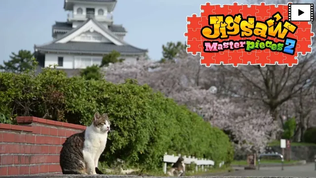 Capa de [Moving] Street Cats in Japan