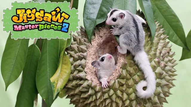 Capa de Cuddly Little Animals